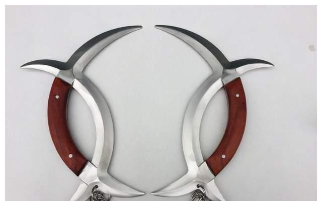 脑洞|香奈儿商标LOGO被诉抄袭中华传统兵器！网友： 脑洞太大！