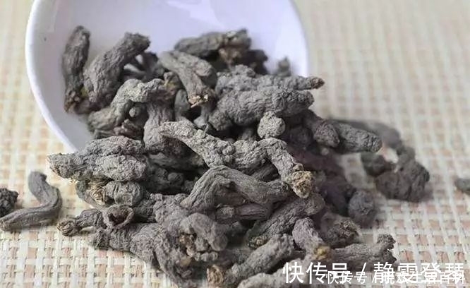 野菜|农村这种“千年老鼠屎”,一斤百元价值很高,如果看到请带回家!