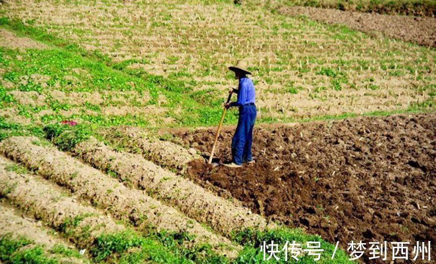 国家级文学奖@老农模仿《咏鹅》写下《咏鸡》,全诗仅18个字,却获国家级文学奖