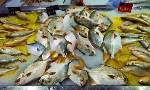 盘子|9月，吃鸡肉鸭肉，不如多吃这鱼，肉多刺少还便宜，人人都吃得起