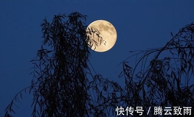 古诗@世界上最孤独的诗,道出“孤独”的最高境界,汉字有多美?