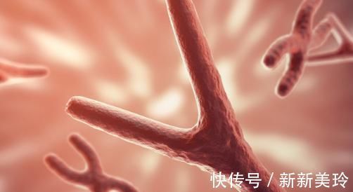 传承|专家提醒:父母有3种疾病,你们的孩子也可能“传承”!