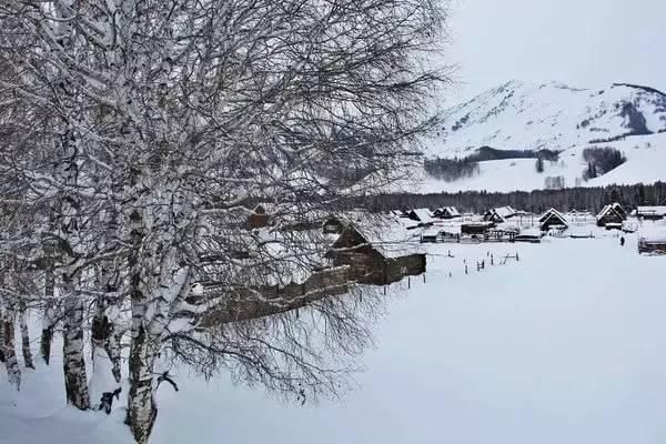 神话里|如果东北的雪景是童话，那北疆的雪景便是神话！