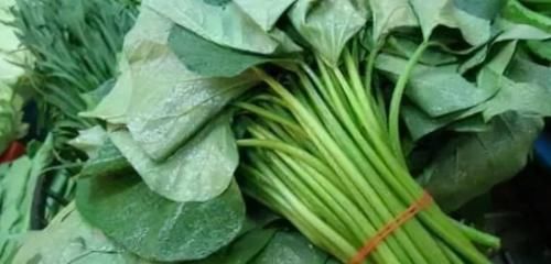 补气|冬天来了,常吃三种食物,养阴生津、补气润肺,美味又营养