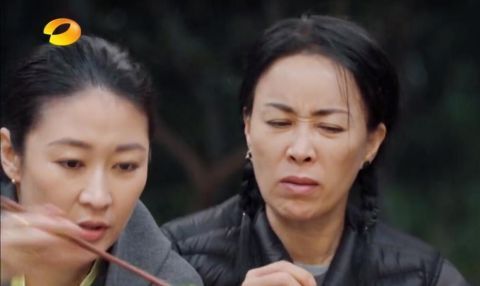 那英,谢谢你让《向往的生活》找到了口碑逆袭的突破口