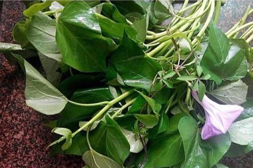 女性想瘦身美容，多吃以下食物，排出毒素，清脂减肥，增强抵抗力