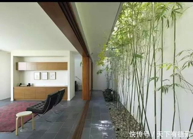 庭院,也需要断舍离