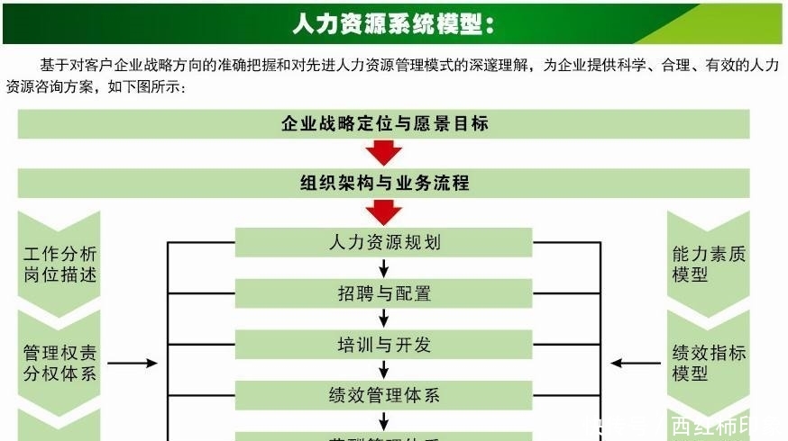 从人力资源管理的六大模块看人才的选育用留