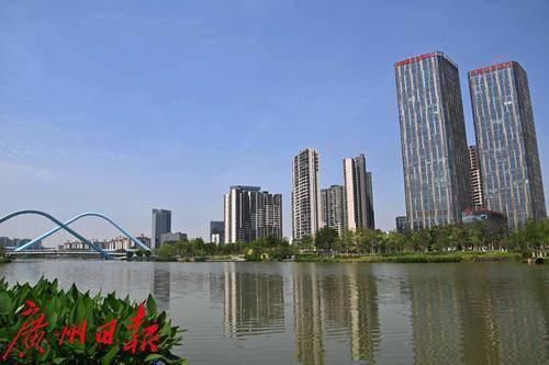 城市设计|总费用达1441万！南沙三大区块招募总设计师