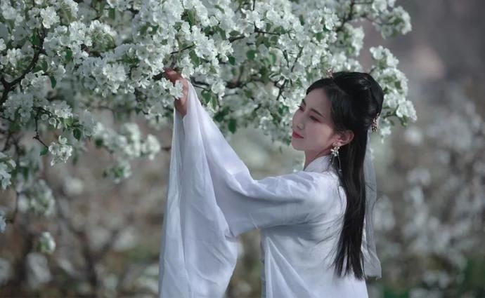 为你写诗！临洮的春天在梨花开落间
