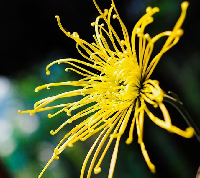 六六大吉|农历生日尾数是几的孩子,多财多福,长大后定有一番作为