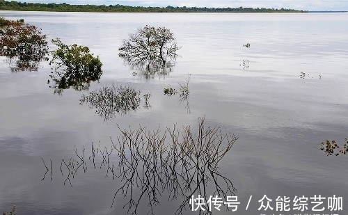 亚马逊|世界上最大的热带雨林，面积超过大半个中国，号称“地球之肺”