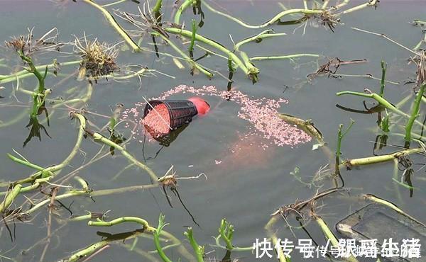 窝点|冬季钓鱼找鱼窝技巧,学会冬钓歌,不惧天寒地冻,越钓鱼越多