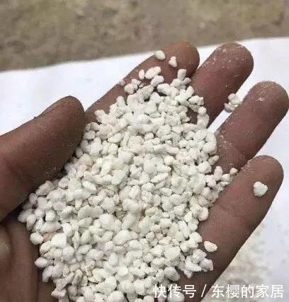 养花旧土别丢，掺入这“3样”，肥得流油不板结，养花太旺了