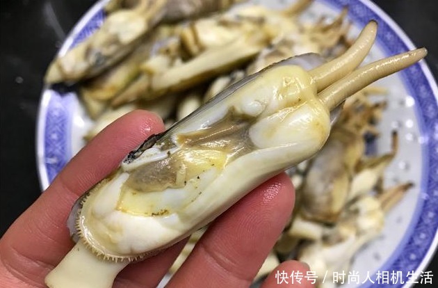 营养又有食|好吃的蛏子做法,好吃又解馋!