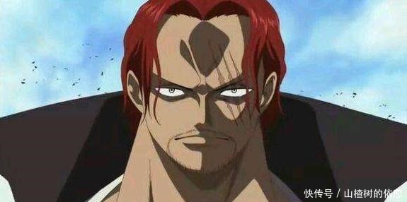 biss|海贼王只有海米才懂十个梗,除了桃之助biss,你还知道几个