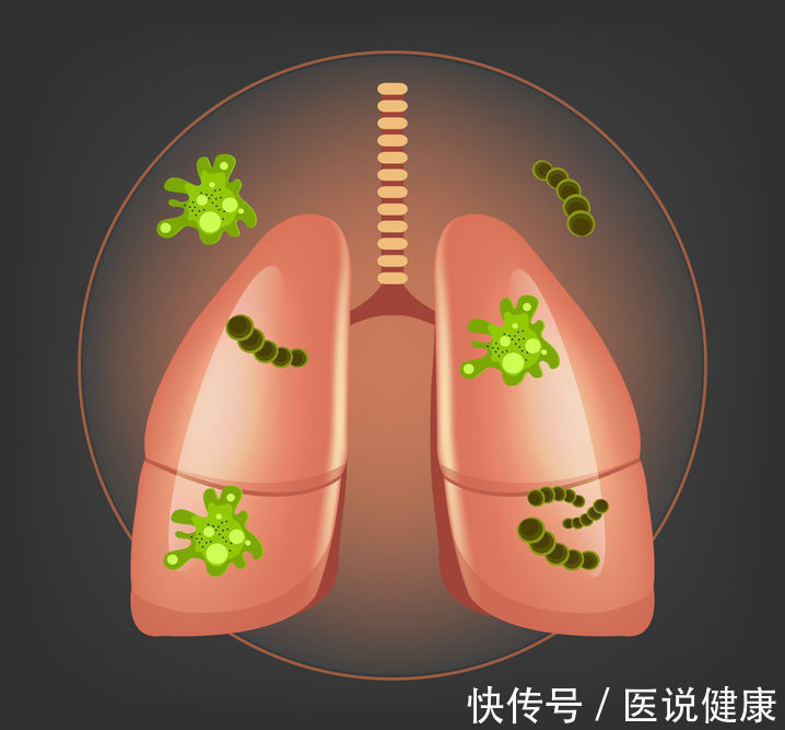 清肺润肺|肺部保养，这6种食物不妨试试，清肺润肺效果还不错，别错过