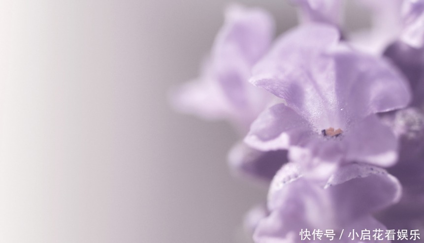 工作|做事标准不同,这些生肖,目标非常明确