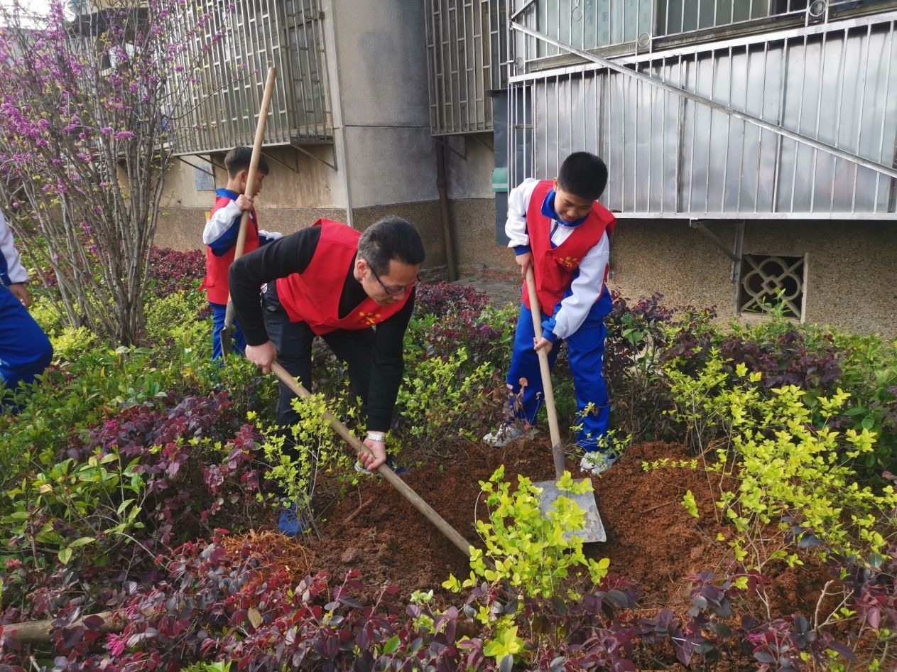 植树护绿，共建文明校园