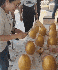 |搞笑GIF:狗子:会不会开呀,还是让我来吧!