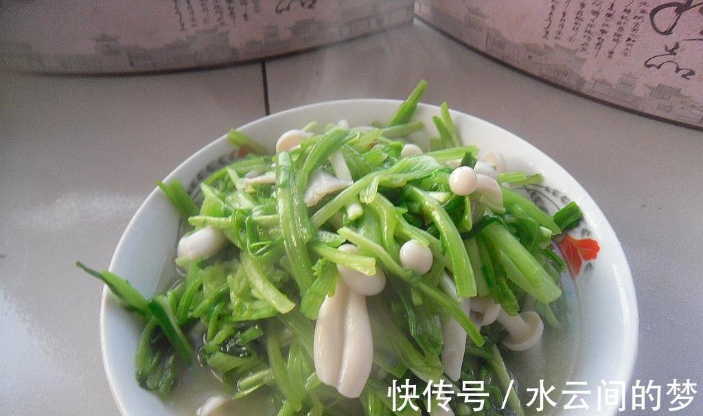 饱腹感|9道素菜减肥期间吃，纤维高又低脂低卡还可以增加饱腹感，放开吃