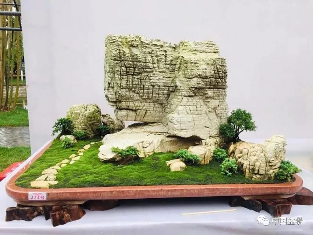  制作|盆景制作中的气、势、神、韵如何表现！静态和动态相结合是精髓