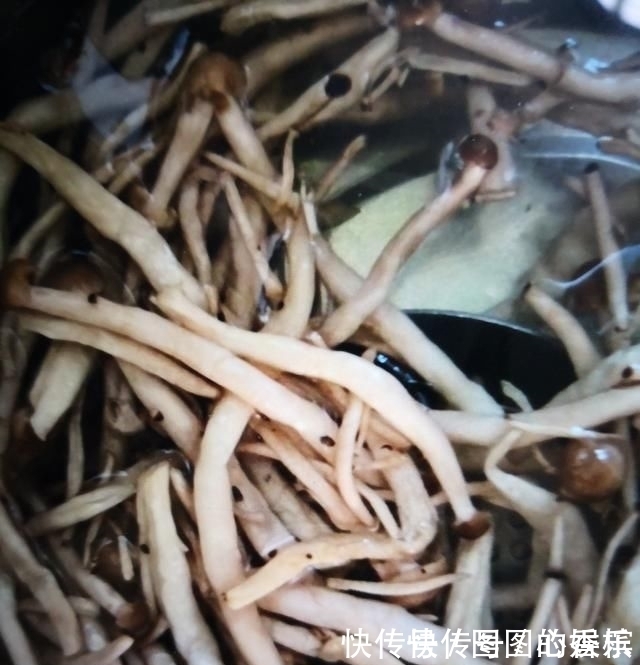 它是肠道“通便器”，隔三差五吃一碗，排除黑臭宿便，抹平大肚腩