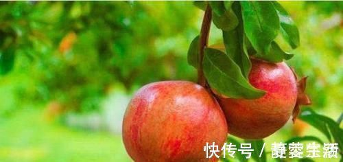 糖尿病|它被称为天然的“胰岛素”，每天坚持吃，让你血糖稳定更健康