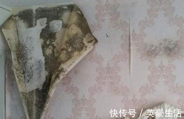 妙招|墙皮发霉脱落怎么办?装修师傅分享一妙招,让你轻松解决