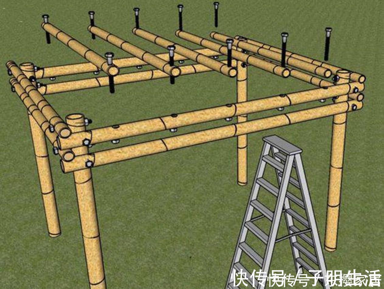 竹子|要是你也有个院子，那就这样设计砍几根竹子撑起一个廊架，闲适