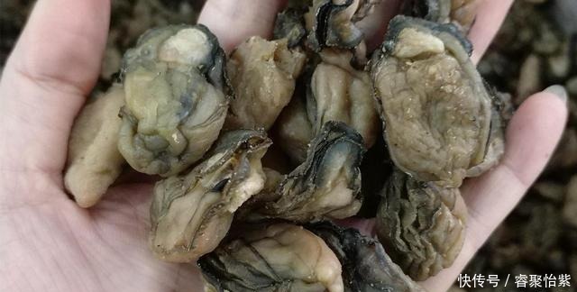 普拉提|女人45岁以后不要太节俭，五类碱性食物要多吃，多做普拉提运动