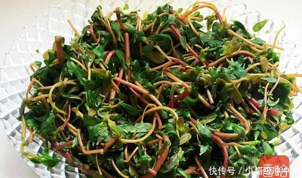 难得的“黄金野菜”，消炎杀菌降血压，是天然的抗生素