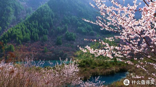 攸声旅游 篇六：【收藏】2021年5月版四川九寨沟旅游攻略，第一次去四川必看的旅游指南