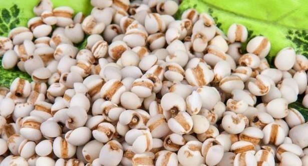 脾胃|湿气重、脾胃弱、气血虚怎么办?这2个祛湿健脾妙招,适合每个人