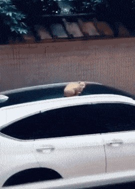 |搞笑GIF趣图:一张图告诉你,千万不能跟老爸一起去健身房