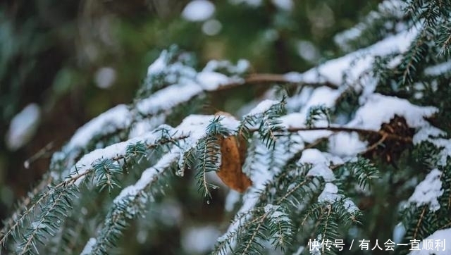 2021，在腾冲滇滩遇见一场初雪