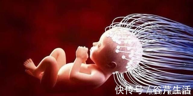 宝宝|这三个阶段是宝宝智力发育的黄金期,想要宝宝更聪明,妈妈要抓紧!