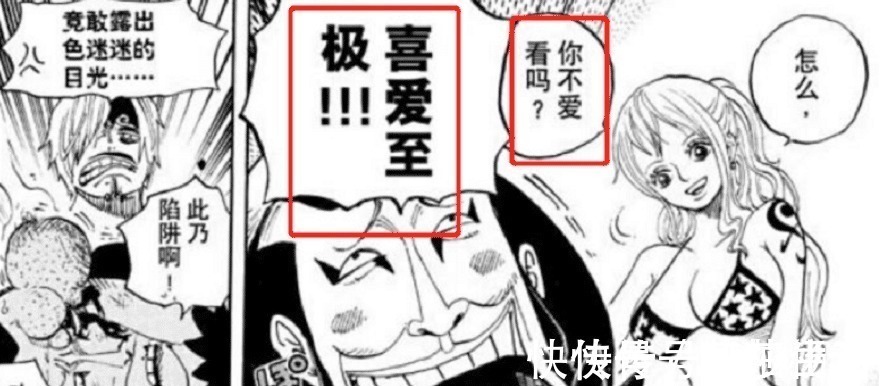 海贼王|海贼王在诸多的女性角色中,为什么娜美依然能保持自己的超人气