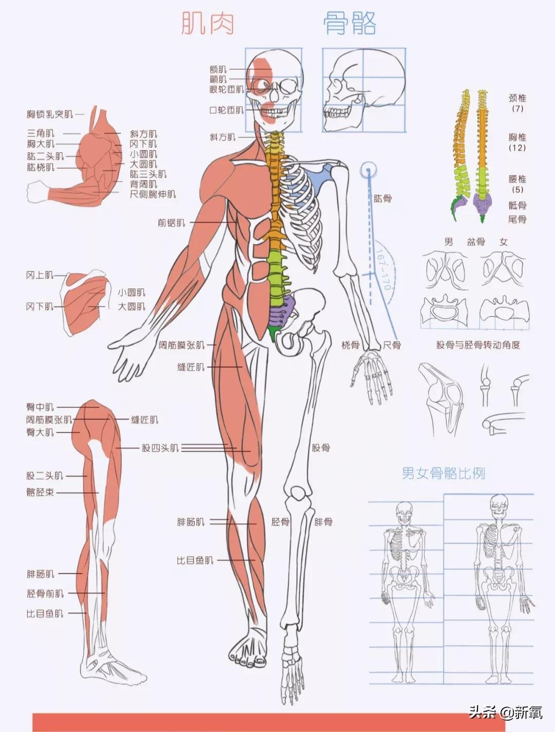 美的 追求过度的审美畸形，把腿p再长也有破绽