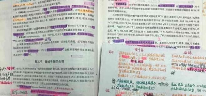 学霸的课本VS学渣的课本，差距太明显，网友：都是过来人