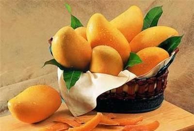 吃了这么多芒果，那么你真的了解芒果吗？