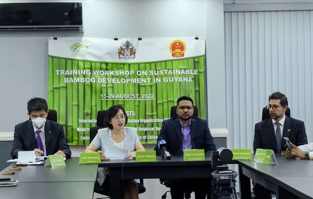 t01cd1a8e7afa5a0e5a.jpg?size=641x408