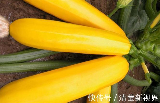 排毒养颜|想长寿全靠吃,3种蔬菜换着来,排毒养颜,提高免疫力!