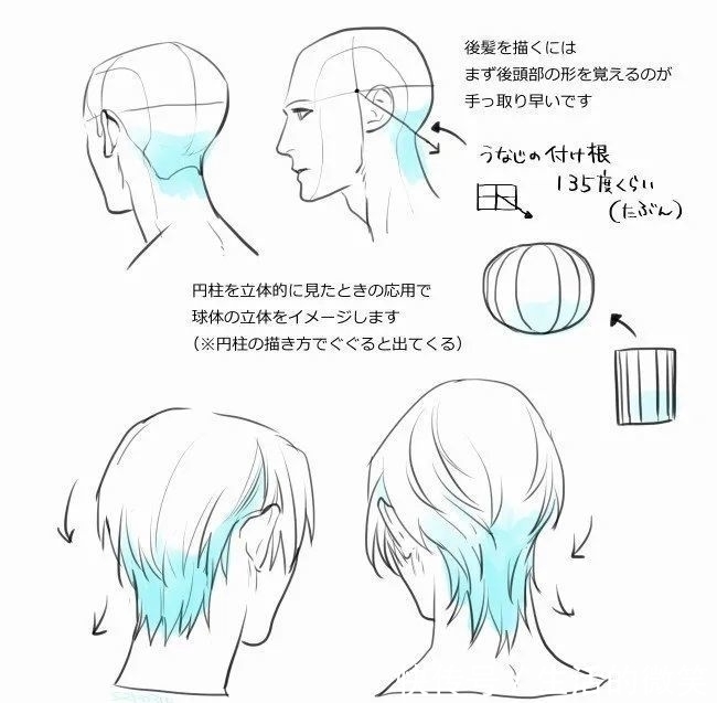 初学者|头发教程｜初学者怎样画动漫人头头发？新手临摹