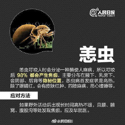 凌女士|超全防虫急救指南