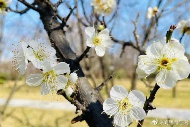 官宣！陕西多地景区重新开放 疾控中心发出最新提醒