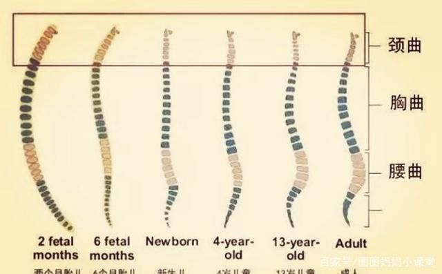 枕头|从不睡枕头的孩子和从小睡枕头的孩子,长大后的差异,父母来看看