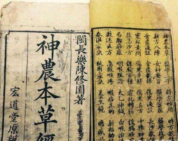 打好基础|一个润肺食疗方！帮你降住“秋老虎”，为冬季“养藏”打好基础！