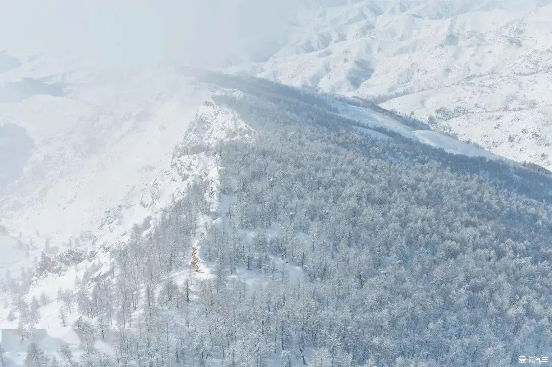 不到过新疆，永远不知道雪有多大。