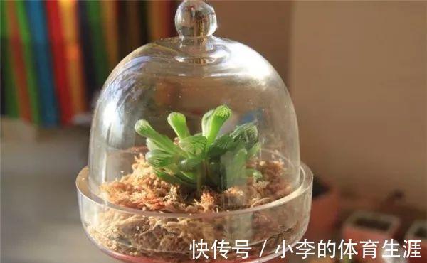 肉肉|要想成为一名合格的肉友,你还需要知道这些黑话